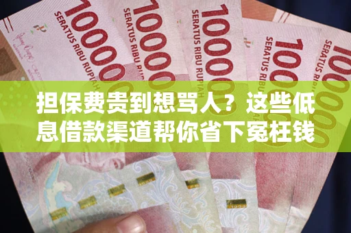 济南担保费贵到想骂人？这些低息借款渠道帮你省下冤枉钱