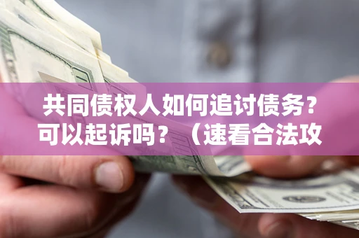 济南共同债权人如何追讨债务？可以起诉吗？（速看合法攻略）