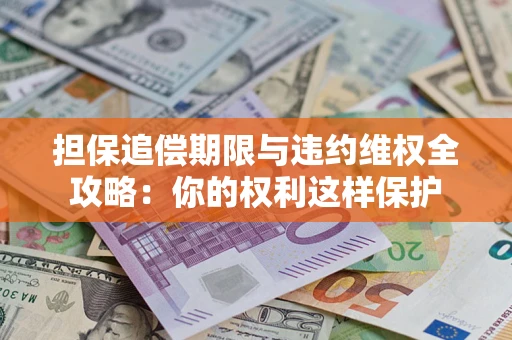 济南担保追偿期限与违约维权全攻略：你的权利这样保护